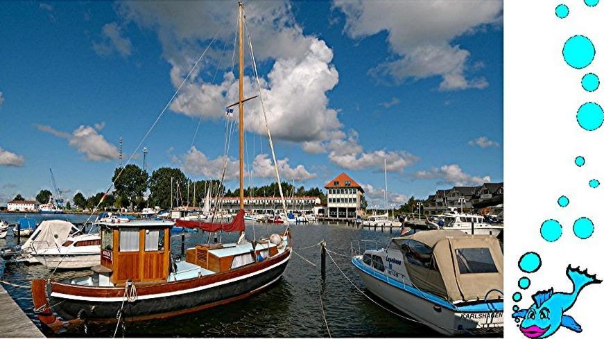 Ferienwohnung Mit Terrasse - Insel Usedom Trassenheide Exterior foto
