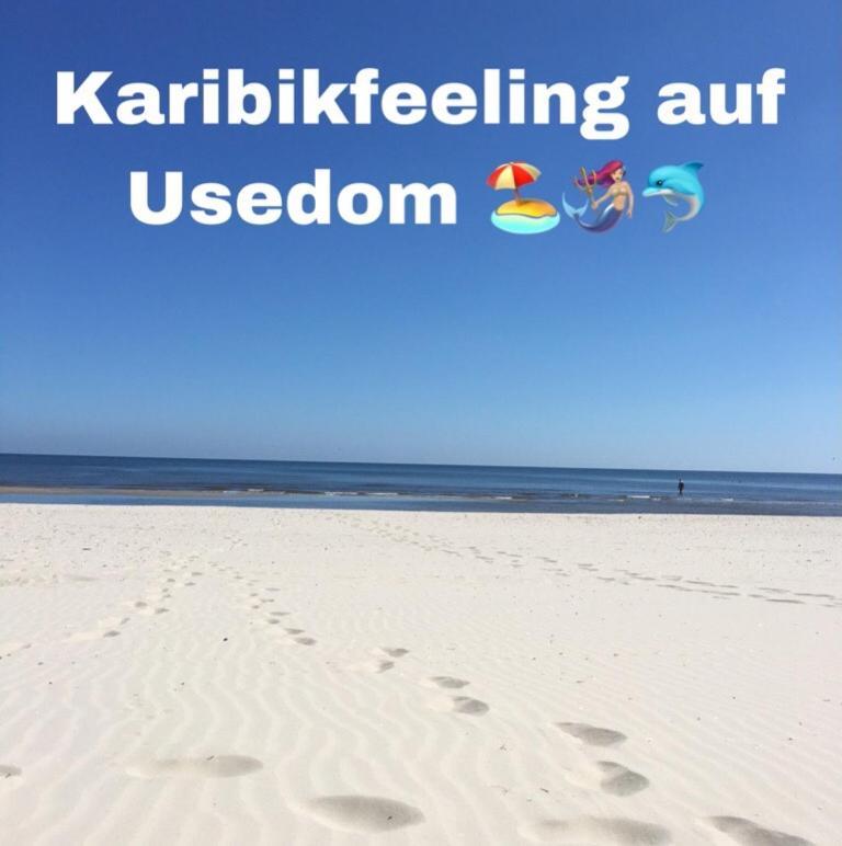 Ferienwohnung Mit Terrasse - Insel Usedom Trassenheide Exterior foto